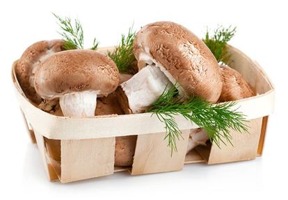 Грибы. Все знают, что грибы тяжелая пища! Однако, тяжелой их делают используемые для готовки масло и сметана. А так это диетический низкокалорийный продукт. Минимум калорий и масса полезных микроэлементов! Грибы. Все знают, что грибы тяжелая пища! Однако, тяжелой их делают используемые для готовки масло и сметана. А так это диетический низкокалорийный продукт. Минимум калорий и масса полезных микроэлементов!