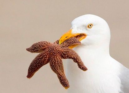 Для тебя хоть звезду со дна! Для тебя хоть звезду со дна!