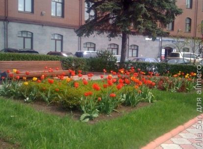 улица улица