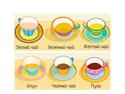 Есть только 6 сортов чая. Все сорта чая получают путем переработки листьев одного и того же чайного растения — китайской камелии. Есть только 6 сортов чая. Все сорта чая получают путем переработки листьев одного и того же чайного растения — китайской камелии.
