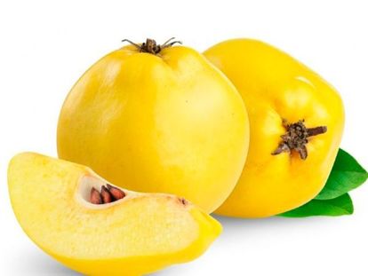Айва – самое вкусное средство от кашля. Для того чтобы приготовить данное снадобье, необходимо взять 2-3 айвы и очистить их от сердцевинок. Из очищенной айвы можно будет сварить компот или варенье, а для нашего чудо-средства нужно использовать сердцевинки с косточками. Айва – самое вкусное средство от кашля. Для того чтобы приготовить данное снадобье, необходимо взять 2-3 айвы и очистить их от сердцевинок. Из очищенной айвы можно будет сварить компот или варенье, а для нашего чудо-средства нужно использовать сердцевинки с косточками.
