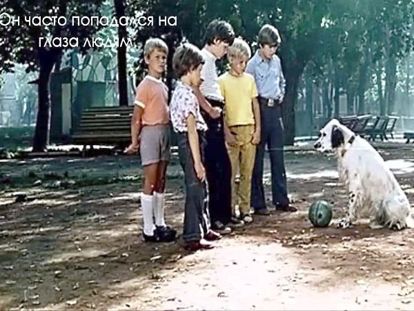 «Белый Бим Чёрное ухо». Шотландский сеттер, неправильного окраса стал любимцем писателя Ивана Ивановича. Однажды они разминулись по нелепой случайности, и жизнь Бима превратилась в бесконечные поиски. «Белый Бим Чёрное ухо». Шотландский сеттер, неправильного окраса стал любимцем писателя Ивана Ивановича. Однажды они разминулись по нелепой случайности, и жизнь Бима превратилась в бесконечные поиски.