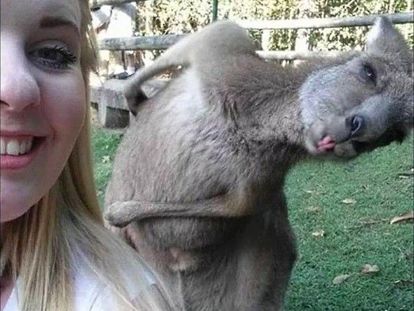 А вот и я! Вы почему без меня фотографируетесь? А вот и я! Вы почему без меня фотографируетесь?