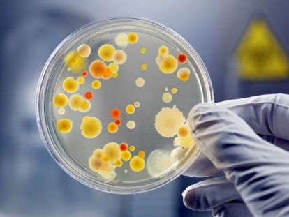 Выводы после исследования использования сахара оказались удивительными. Оказывается, сахар способен убивать бактерии, которые препятствуют заживлению и вызывают хронические боли. Происходит это очень просто, бактериям для размножения необходима влага, а сахарная повязка способна полностью впитывать любую воду. Выводы после исследования использования сахара оказались удивительными. Оказывается, сахар способен убивать бактерии, которые препятствуют заживлению и вызывают хронические боли. Происходит это очень просто, бактериям для размножения необходима влага, а сахарная повязка способна полностью впитывать любую воду.
