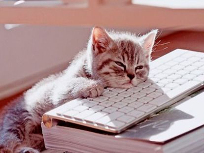 Эх, тяжело работать! Эх, тяжело работать!
