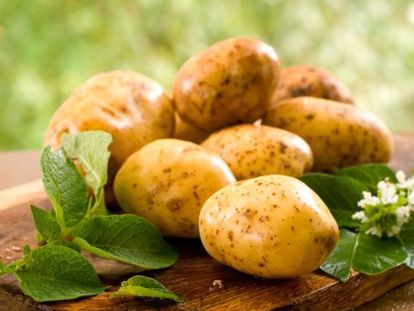 Для того, чтобы хорошо очищалась кожура с молодого картофеля, его перед чисткой нужно положить в соленую холодную воду. Для того, чтобы хорошо очищалась кожура с молодого картофеля, его перед чисткой нужно положить в соленую холодную воду.