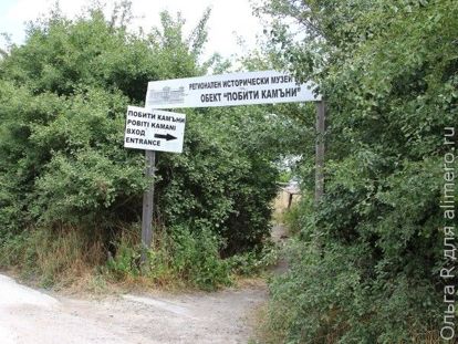 Каменный лес Каменный лес