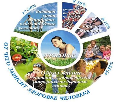 Считается, что наше здоровье больше, чем на половину, зависит от нас самих. Давайте же будем здоровы! Считается, что наше здоровье больше, чем на половину, зависит от нас самих. Давайте же будем здоровы!