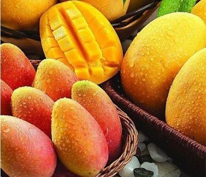 14. Замороженные кусочки манго – 160 грамм. Манго содержит бета-каротин, клетчатку и много витамина С. Этот чудесный экзотический фрукт содержит все необходимое для хорошего пищеварения и избавления от шлаков. 14. Замороженные кусочки манго – 160 грамм. Манго содержит бета-каротин, клетчатку и много витамина С. Этот чудесный экзотический фрукт содержит все необходимое для хорошего пищеварения и избавления от шлаков.