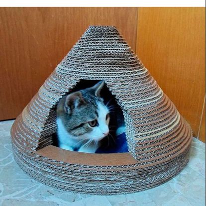 Кошка и дрессировка - не такие уж несовместимые понятия. Всего за пару дней кошка может выдрессировать кого угодно. Кошка и дрессировка - не такие уж несовместимые понятия. Всего за пару дней кошка может выдрессировать кого угодно.