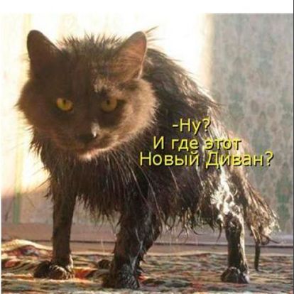 К мести готов! К мести готов!