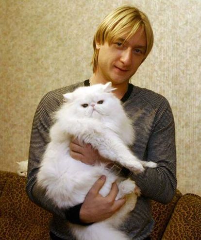 Евгений Плющенко, российский фигурист, и его кот Пухлик. Евгений Плющенко, российский фигурист, и его кот Пухлик.