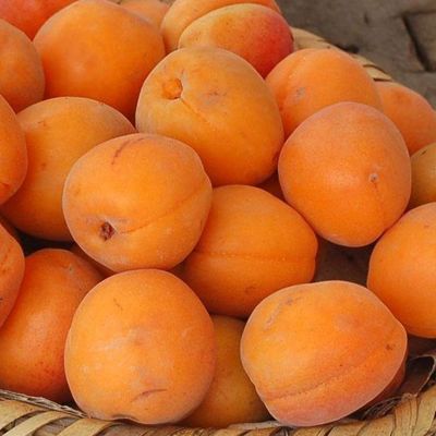 Варенье из абрикосов по-армянски