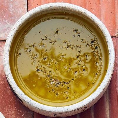 Простейшая лимонная заправка для летних салатов