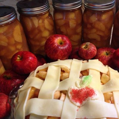 Как заготовить на зиму яблочную начинку для пирогов отличный и необычный домашний рецепт