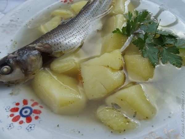 Суппюре рецепты с фото на RussianFoodcom 1087 рецептов