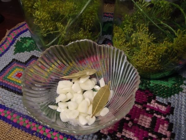 Салаты из квашеных огурцов картинка Салаты из квашеных огурцов картинка