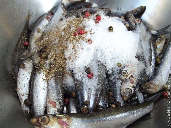 Как мариновать тюльку в домашних условиях Как мариновать тюльку в домашних условиях