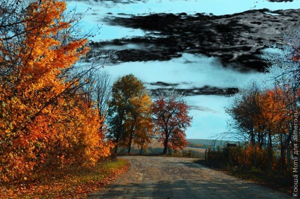 Фотошоп Осень Вставить Фото Фотошоп Осень Вставить Фото