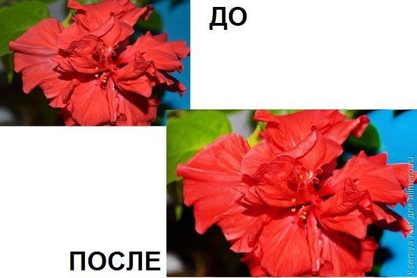 базовая обработка фото Photoshop базовая обработка фото Photoshop