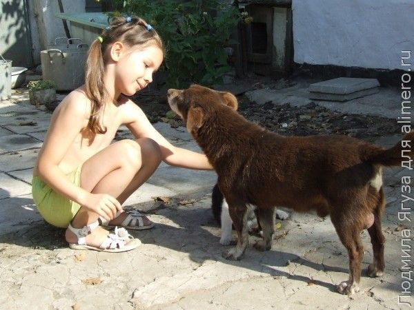 Папа, ты волосатый!