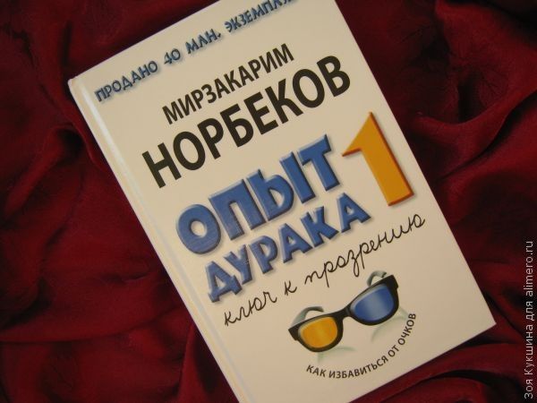 Людкины каверзы. М. Норбеков «Опыт дурака - 1». Отзыв