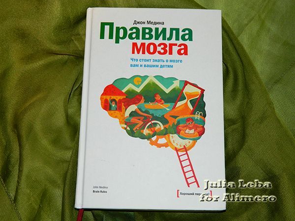 Джон Медина "Правила мозга"
