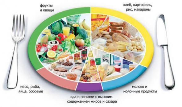 питание каждые 2 часа для похудения питание каждые 2 часа для похудения