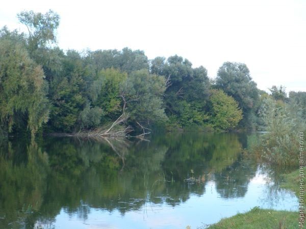 Новые увлечения в рукоделие Новые увлечения в рукоделие