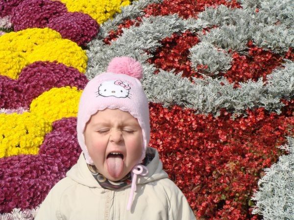 Погода на неделю кельменці
