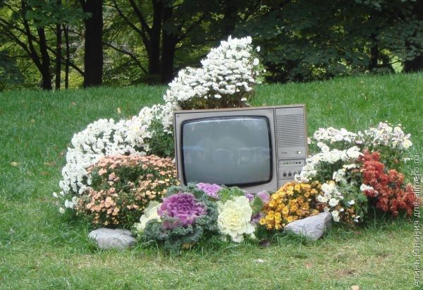 Дети, книги, телевизор – как выбраться из этого круга?