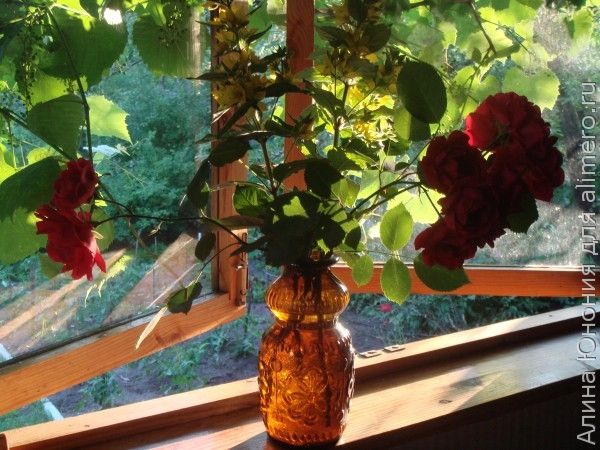 цветы в вазе цветы в вазе