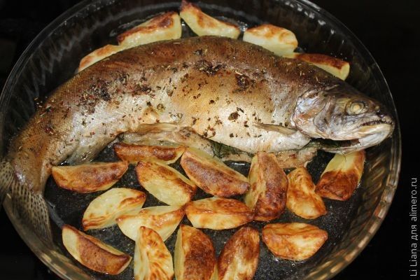 Карп речной в духовке рецепты Карп речной в духовке рецепты