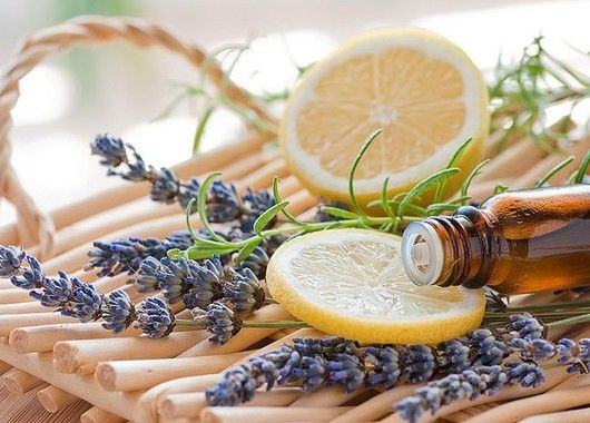 Самым лучшим методом борьбы с комарами считается отпугивание запахом. Для человека это, к счастью, запахи приятные – базилик, лаванда, ментол, эвкалипт, чайное дерево. Кремы и аэрозоли на основе экстрактов этих растений довольно эффективно прогоняют насекомых, но их действие недолговечно – наносить средства на кожу придется каждые 2−3 часа. Для маленьких детей подойдут специальные средства с минимумом отдушек. Самым лучшим методом борьбы с комарами считается отпугивание запахом. Для человека это, к счастью, запахи приятные – базилик, лаванда, ментол, эвкалипт, чайное дерево. Кремы и аэрозоли на основе экстрактов этих растений довольно эффективно прогоняют насекомых, но их действие недолговечно – наносить средства на кожу придется каждые 2−3 часа. Для маленьких детей подойдут специальные средства с минимумом отдушек.