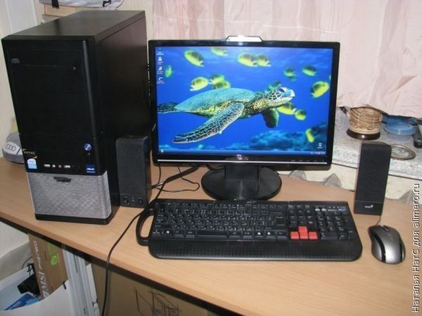 3 ошибки женщин в знакомствах по интернету