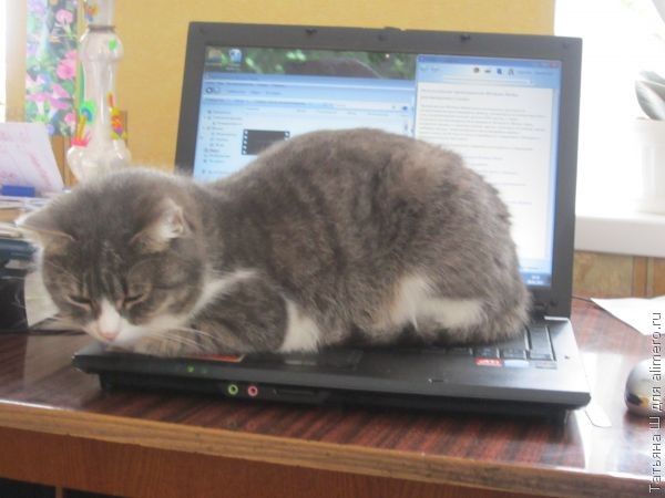 Фильмы, которые произвели на меня впечатление