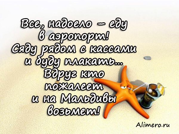 Прикольные статусы о лете и отпуске Прикольные статусы о лете и отпуске