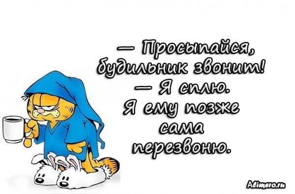 Забавные высказывания про утро Забавные высказывания про утро