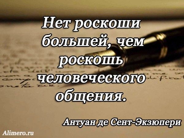 Себя в сети афоризмы Себя в сети афоризмы