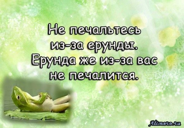 Забавные высказывания об отношении к жизни Забавные высказывания об отношении к жизни