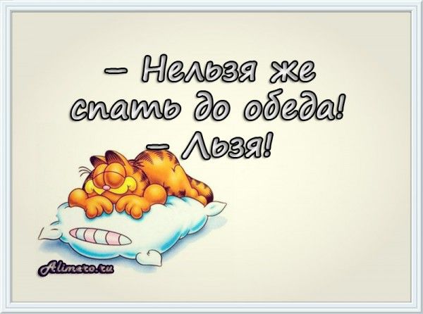 Забавные высказывания о сне Забавные высказывания о сне