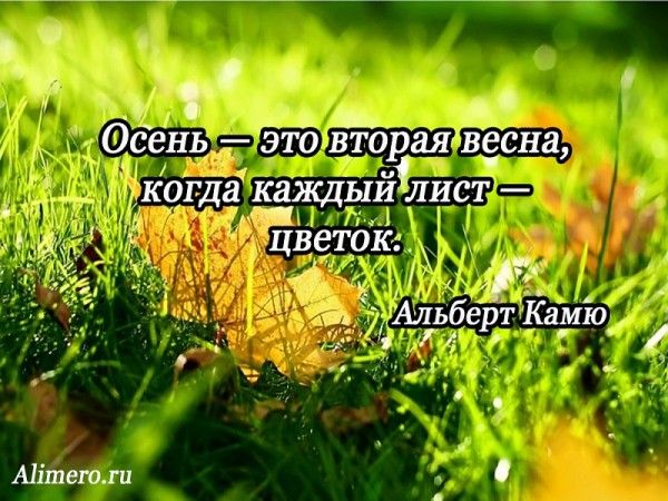 Высказывания знаменитых людей про осень Высказывания знаменитых людей про осень