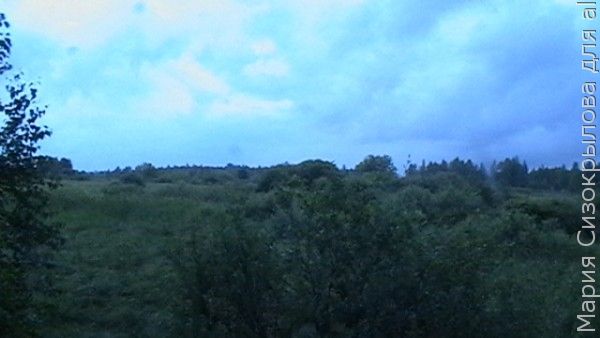 красотааа... красотааа...
