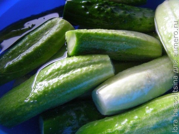 Как сделать соленые огурцы рассол Как сделать соленые огурцы рассол