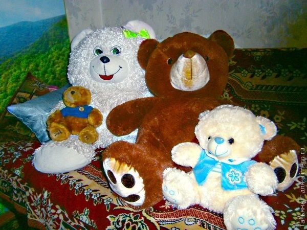 Наши домашние медведи Наши домашние медведи