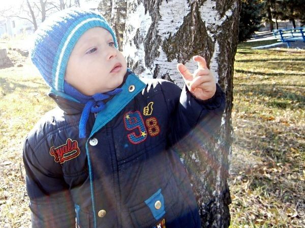 Советы родителям. Мои правила
