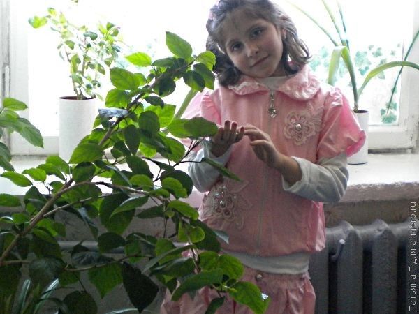 Выражения, которые раздражают мою дочь