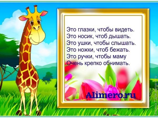 15 стишков для изучения частей тела