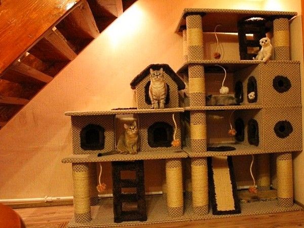 Игровой кошачий комплекс Игровой кошачий комплекс
