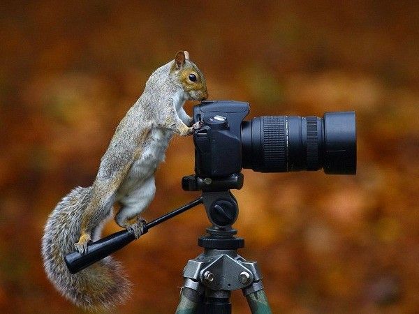 Ну и наснимали! Я же ни на одной фотографии хорошо не получилась! Ну и наснимали! Я же ни на одной фотографии хорошо не получилась!